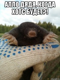 алло дядя, когда хотс будет?! 
