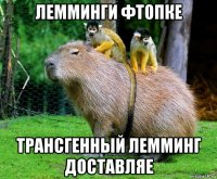 лемминги фтопке трансгенный лемминг доставляе