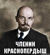  членин краснопердыш