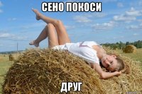сено покоси друг