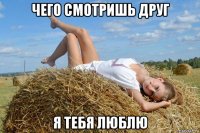 чего смотришь друг я тебя люблю