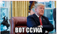  вот ссука