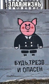 злая жизнь 
