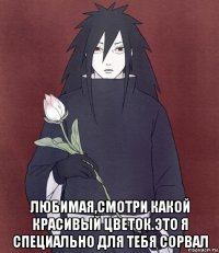  любимая,смотри какой красивый цветок.это я специально для тебя сорвал