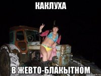 каклуха в жевто-блакытном