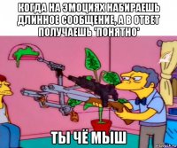 когда на эмоциях набираешь длинное сообщение, а в ответ получаешь 'понятно' ты чё мыш