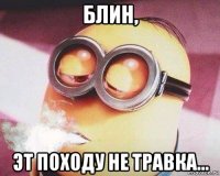 блин, эт походу не травка...