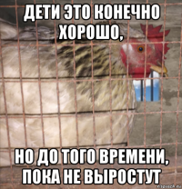дети это конечно хорошо, но до того времени, пока не выростут