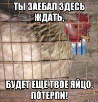 ты заебал здесь ждать, будет ещё твое яйцо, потерпи!