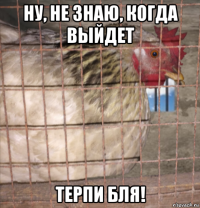 ну, не знаю, когда выйдет терпи бля!