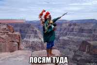  лосям туда