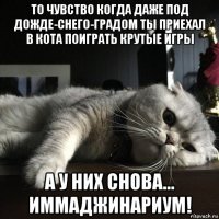 то чувство когда даже под дожде-снего-градом ты приехал в кота поиграть крутые игры а у них снова... иммаджинариум!