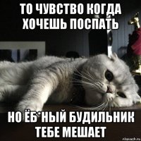 то чувство когда хочешь поспать но ёб*ный будильник тебе мешает