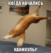 когда начались каникулы!