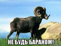  не будь бараном!