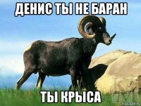денис ты не баран ты крыса