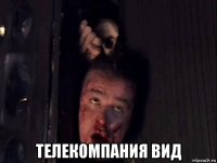  телекомпания вид