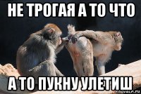 не трогая а то что а то пукну улетиш