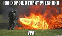 как хорошо горит учебники ура
