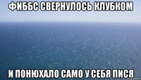 фиббс свернулось клубком и понюхало само у себя пися