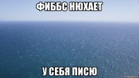 фиббс нюхает у себя писю
