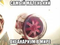 самый маленький океанариум в мире