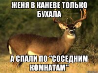 женя в каневе только бухала а спали по "соседним комнатам"