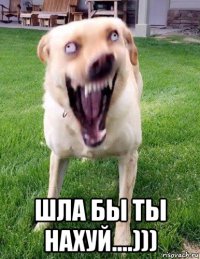  шла бы ты нахуй....)))