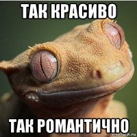 так красиво так романтично