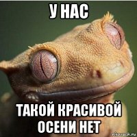 у нас такой красивой осени нет