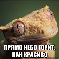  прямо небо горит, как красиво