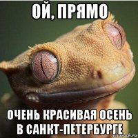 ой, прямо очень красивая осень в санкт-петербурге