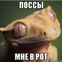 поссы мне в рот