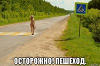  осторожно! пешеход.