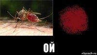  ой