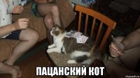  пацанский кот