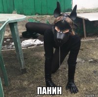  панин