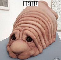 пепец 