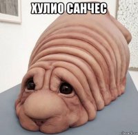 хулио санчес 