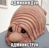 админиждун администрун