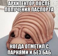 архитектор после получения паспорта когда отметил с парнями и без баб