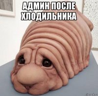 админ после хлодильника 