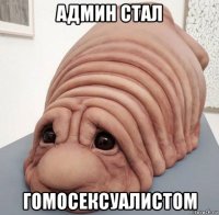 админ стал гомосексуалистом