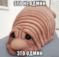 это не админ это одмин
