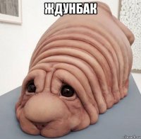ждунбак 