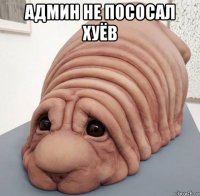 админ не пососал хуёв 