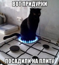 вот придурки посадили на плиту