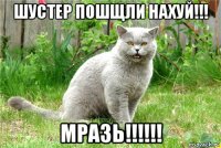 шустер пошщли нахуй!!! мразь!!!!!!