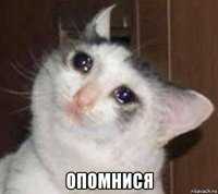  опомнися