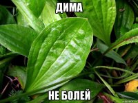 дима не болей